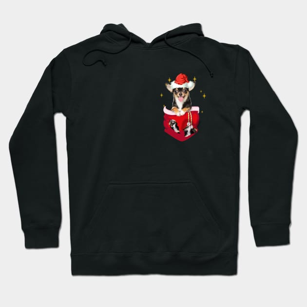Chihuahua  In Pocket Christmas Gift Hoodie by Terryeare